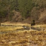 Zu ergründende Brückensegmente