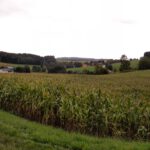 Leider geschlossene Wolkendecke