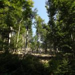 Steinschachtenhänge