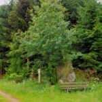 Alles beieinander Alles beieinander