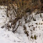 Zugefroren und verschneit