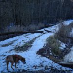 Wegsperre auf einem Irrweg