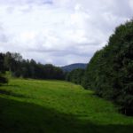 Hinterwaldheim / Zadní Zahájí Hinterwaldheim / Zadní Zahájí