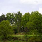 Da versteckt sich ja der Druidenstein