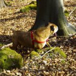 Anstrengend aber schööööööööööööööööön