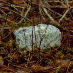 Also ich sehe nur diesen Stein