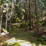 Zu einigen Felsen führen auch Pfade hinauf, im Nachhinein betrachtet hätte ich schon den einen oder anderen erklettern können Zu einigen Felsen führen auch Pfade hinauf, im Nachhinein betrachtet hätte ich schon den einen oder anderen erklettern können