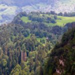 Untere Sonnenalp, dahinter Plattenberg, im Tal Mollis mit der Kerenzerbergstraße