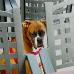 Lieb von Dir, das Du wieder zurückgekommen bist... (von der Toilette) Lieb von Dir, das Du wieder zurückgekommen bist... (von der Toilette)