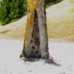 Unterstand mit Durchblick