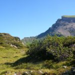 Da soll man ohne Klettern raufkommen? Da soll man ohne Klettern raufkommen?