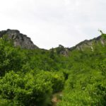 Ostertal noch ganz grün