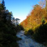 Herbstfarben in der oberen Weißbachschlucht