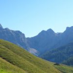 Großer und kleiner Hundstod