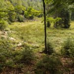 Das sieht mir klarer nach Filz aus Das sieht mir klarer nach Filz aus