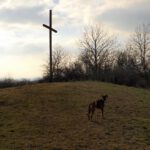 Frauchen, könntest Du mich bitte zum Facebook-Lesen ans Gipfelkreuz lassen?