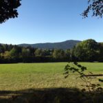 Durchblick auf die Hügel südlich des Zellertals