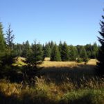 AKW über Horní Ždánidla