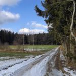 Am Waldrand, wo der Waldhonig herkommt