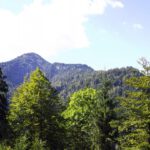 Pfefferkopf mit Trabanten zum Rißtal hin