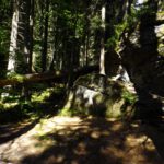 Es gibt auch hier bereits Felsen am Wegesrand Es gibt auch hier bereits Felsen am Wegesrand