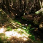 Am Falzbach Am Falzbach