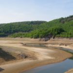 Extremes Niedrigwasser scheint es hier öfter zu geben, sonst wären die Rinnen nicht so klar abgegrenzt