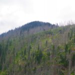 Der Gipfel von der Kapelle aus Der Gipfel von der Kapelle aus