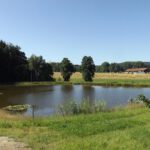 Teich mit Seeroseninseln