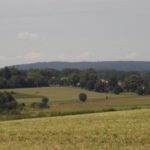 Der Hirschauer Kalvarienberg (im Vordergrund!)