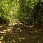 Urlinie am Moskawitterberg