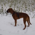 Karlie hatte auch so seine Freude