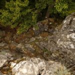 Hier kommt der Klettersteig herauf