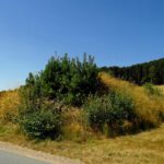 Menschlich geschaffener Hügel