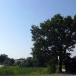 Kirche und Bushäusl