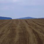 Die Felder werden bereitet