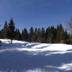 Schattenspiele im Schnee