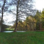 Fischteich in besonderer Perspektive Fischteich in besonderer Perspektive