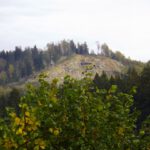 Steinbruch am Wurmstein