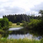 Waldheimer See Waldheimer See