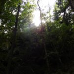 Sonnenthron Sonnenthron