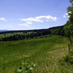 Feine böhmische Wiesen Feine böhmische Wiesen