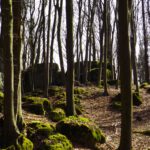 Diese Formation wäre eine nähere Begutachtung wert