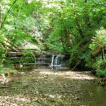 Natürliche Stufen geben der Gauchach Dynamik Natürliche Stufen geben der Gauchach Dynamik