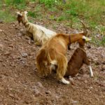 Gut dass es Mami gibt Gut dass es Mami gibt