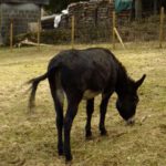 Kein Interesse an einem Portrait