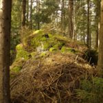 Der (fast) unvermeidliche Fels am Wegesrand