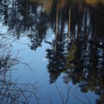 Tautropfen vor dem Spiegel