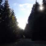 ...und auf einmal war AKW