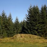 Dieser Schutthaufen gehört aber zu Gsenget